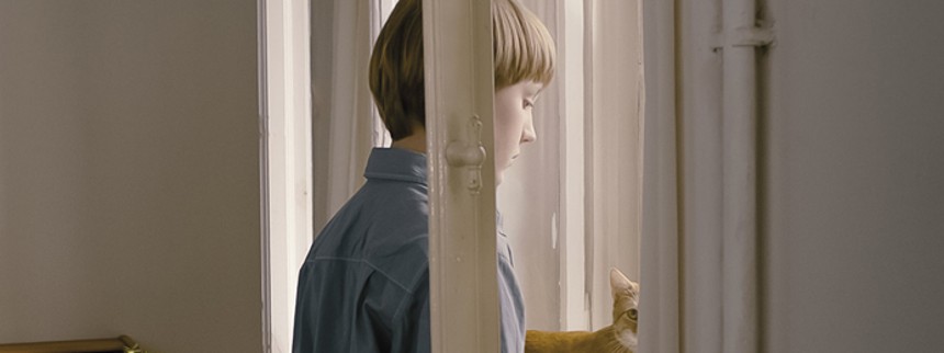 The Strange Little Cat