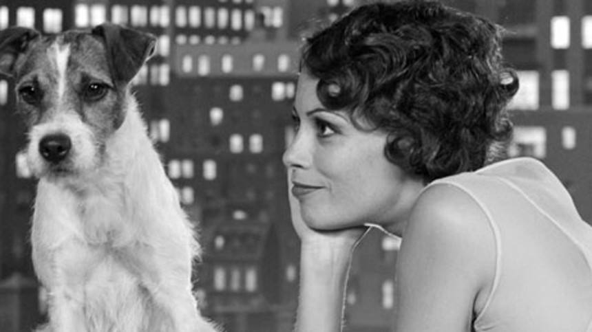 Uggie får sin egen Hol&shy;lywood-​fli&shy;se