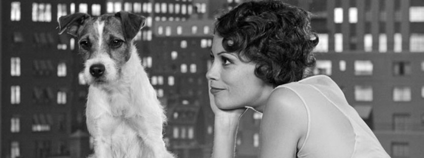 Uggie får sin egen Hol&shy;lywood-​fli&shy;se