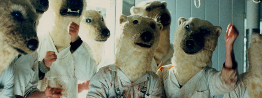 Lad isbjørnene danse