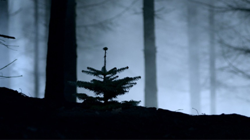 Alene i naturfilmens mekka