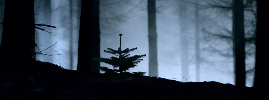 Alene i naturfilmens mekka