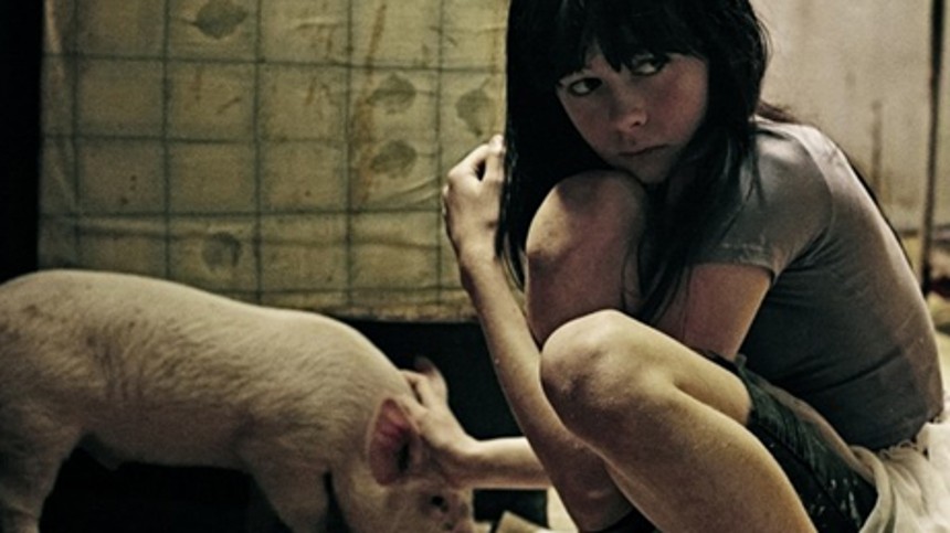 Super16 dominerer Robert