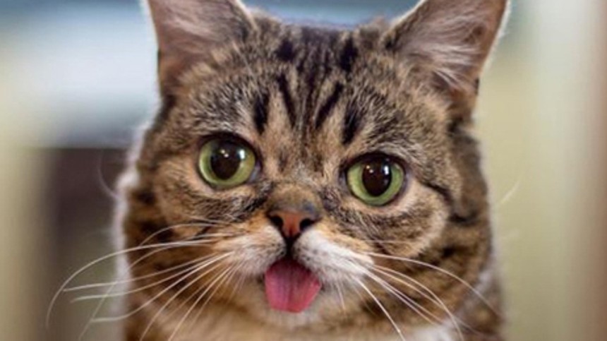 Kendiskatte går til filmen