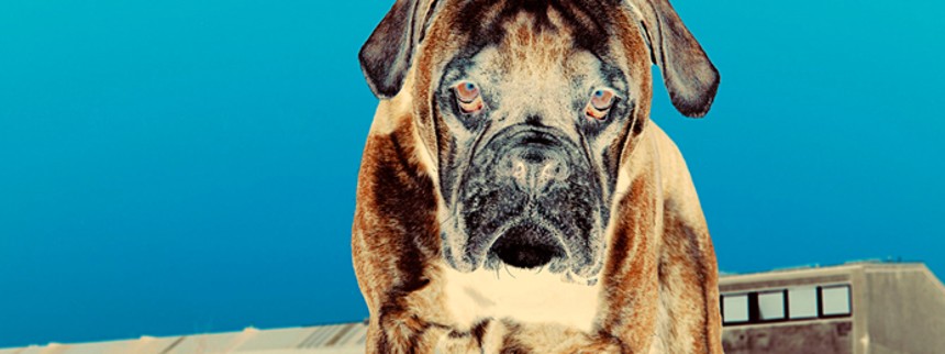 Tyve musikvideoer i biografen