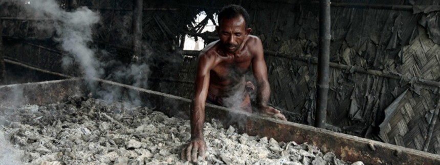 Fotograf med livet som indsats