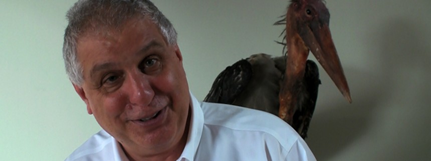 Do&shy;ku&shy;men&shy;tar&shy;fil&shy;mens filosofiske snushane