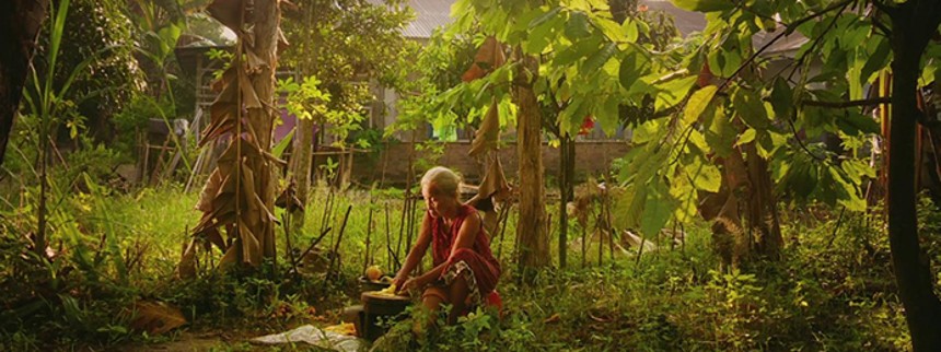 Stjer&shy;ne&shy;ba&shy;ro&shy;me&shy;ter: Oppenheimer løber med prisen