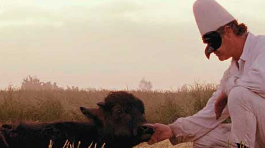 Hvem vinder Dox:Award?