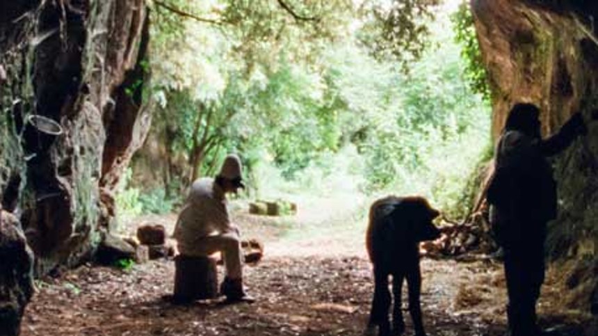 Tæt løb om Dox:Award-prisen