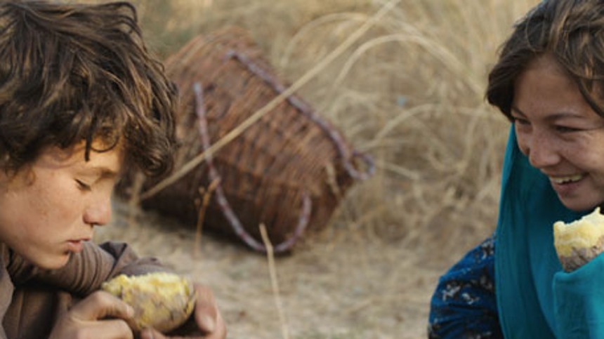 Fra Kabul til Cannes