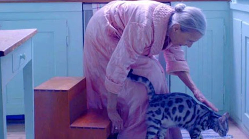 Filmskolens rektor er stolt af elever