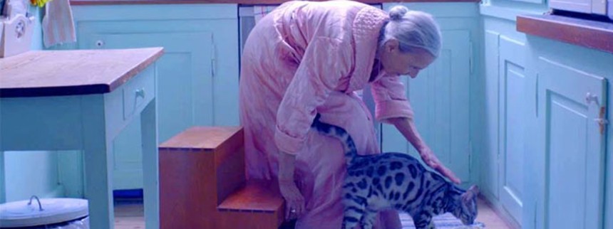 Filmskolens rektor er stolt af elever