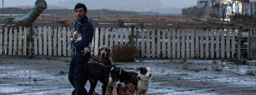 Årets hund er fundet i Cannes