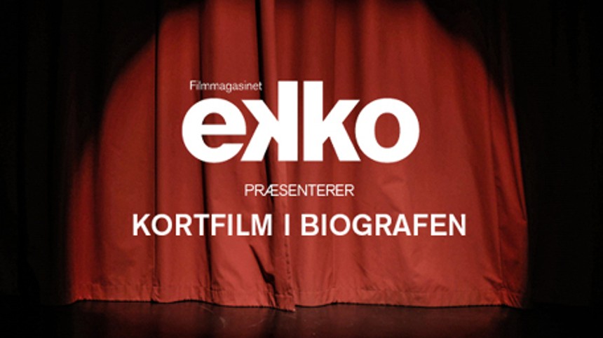 Ekkos biografprojekt er i gang