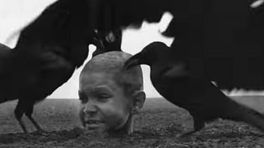 Voldsopus trækker overskrifter i Venedig