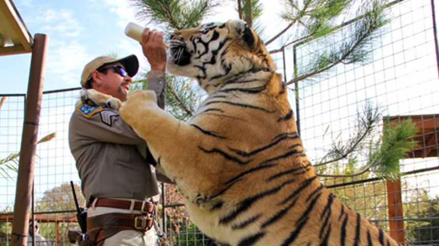 Mere Tiger King på vej