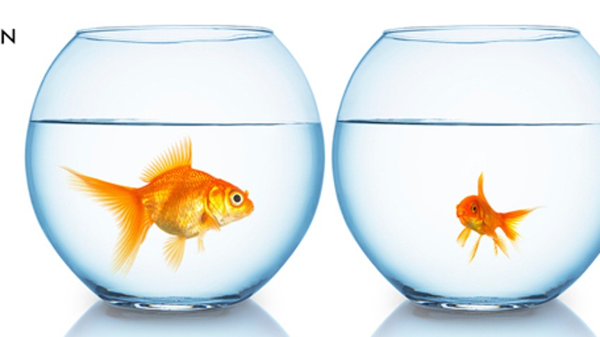 Elever laver film på afstand