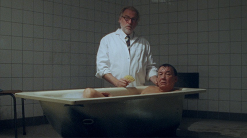 ”Pingvinerne var ligeglade med min kunstfilm”