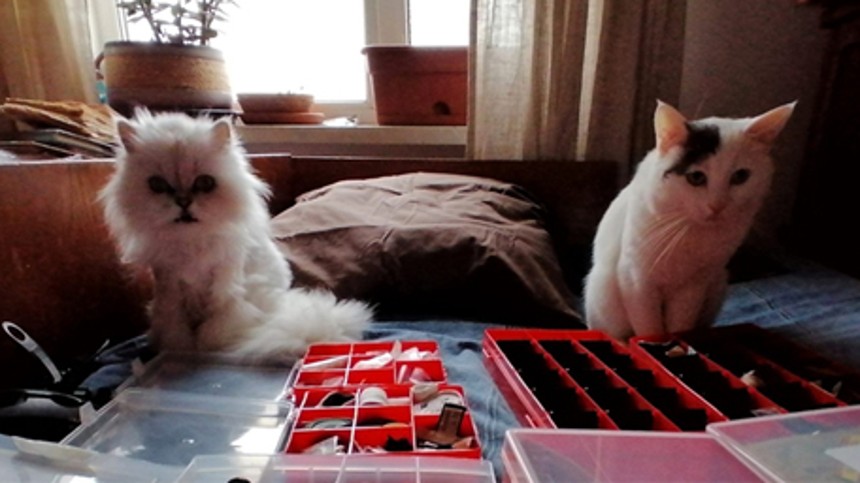 På op&shy;da&shy;gel&shy;ses&shy;rej&shy;se i corona-helvede