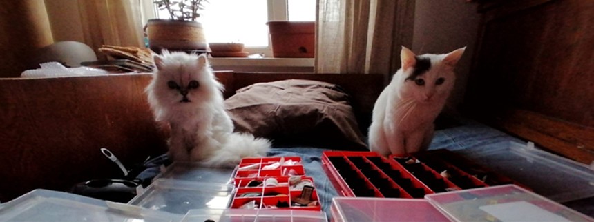 På op&shy;da&shy;gel&shy;ses&shy;rej&shy;se i corona-helvede