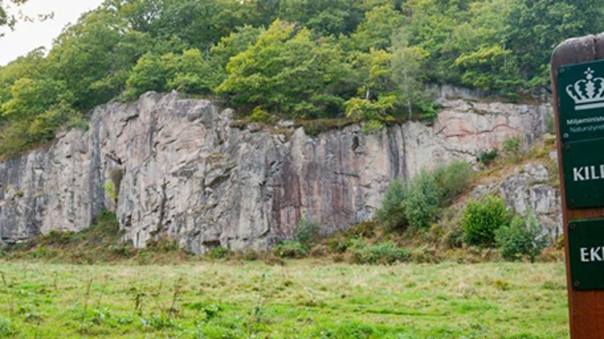 Rungende spørgsmål i Ekkodalen