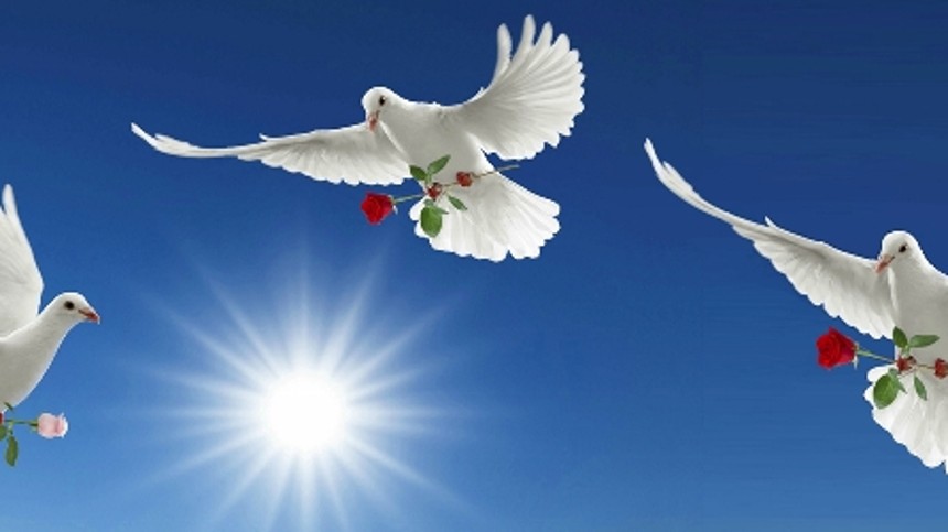 Freden har sænket sig over filmbranchen