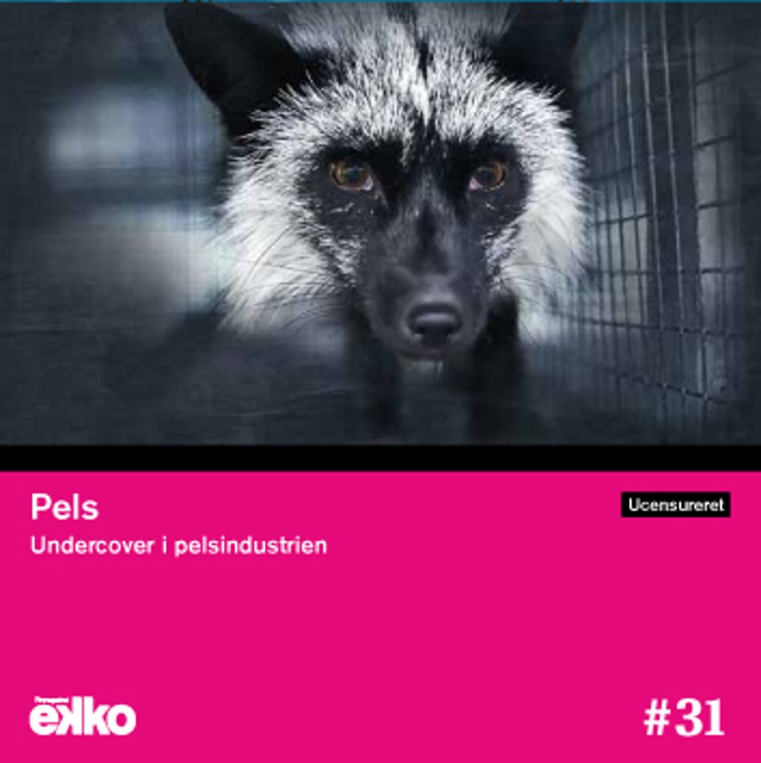 DVD #31 (sep.-okt. 2015)