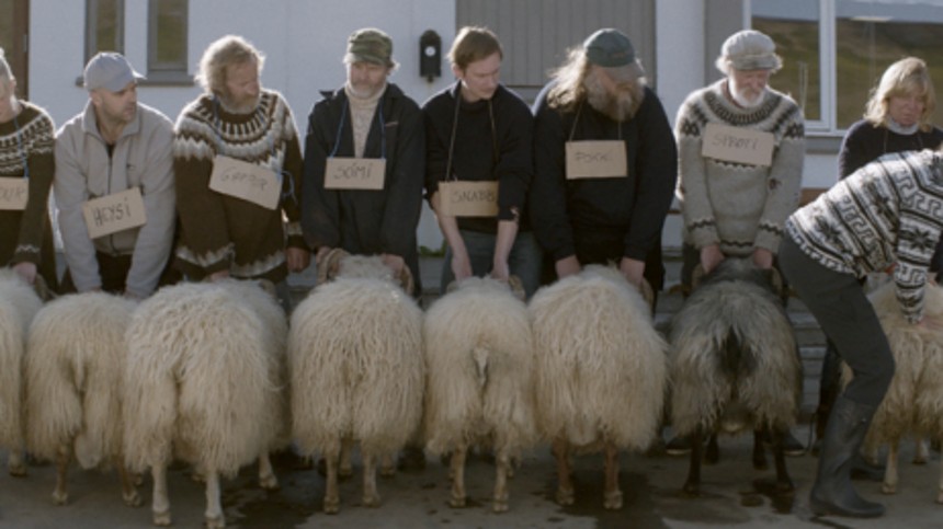 Blandt mænd og får 