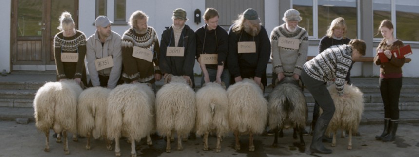 Blandt mænd og får 