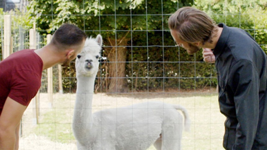 Kænguru&shy;myste&shy;ri&shy;et