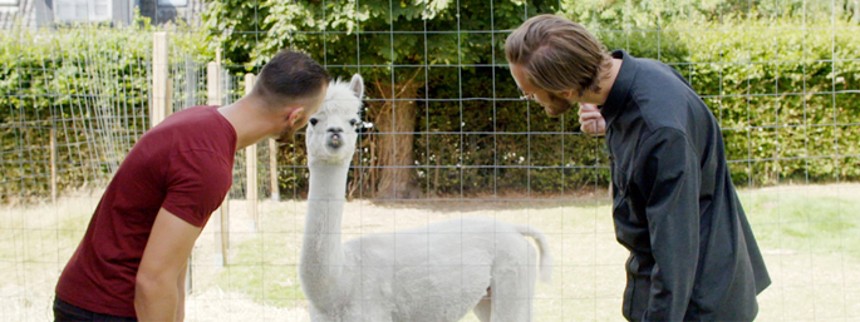 Kænguru&shy;myste&shy;ri&shy;et