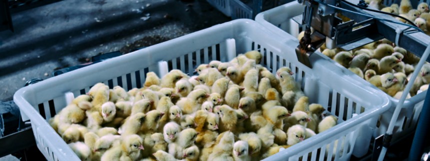 Poisoned: The Dirty Truth About Your Food