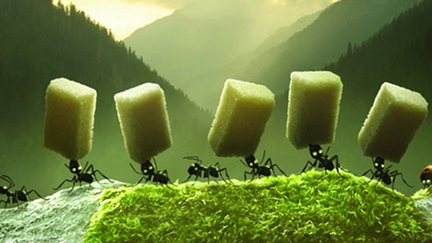 Minisekterne – kampen om myrernes dal