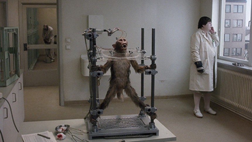 En due sad på en gren og funderede over tilværelsen