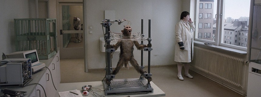 En due sad på en gren og funderede over tilværelsen