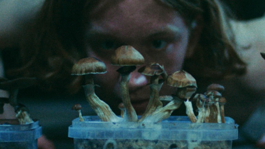 Det store glitch/Paradisets børn