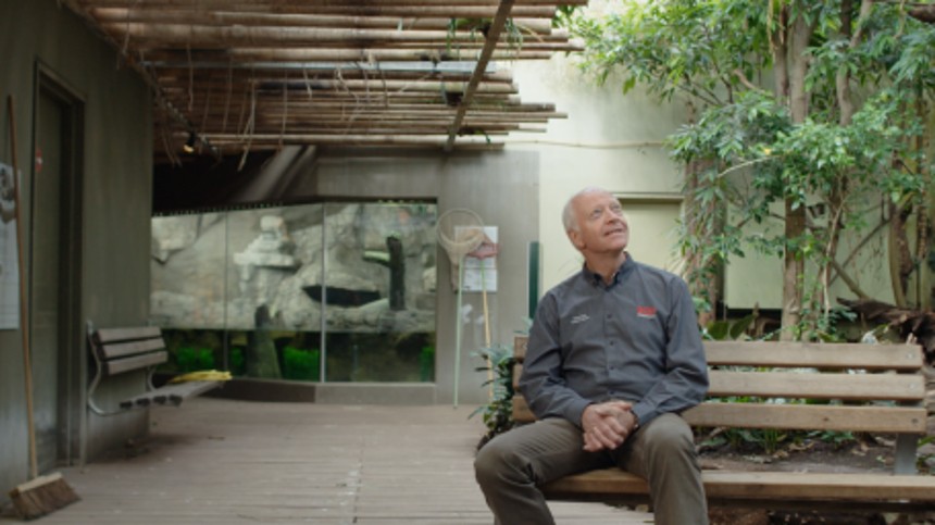 Livet og andre problemer