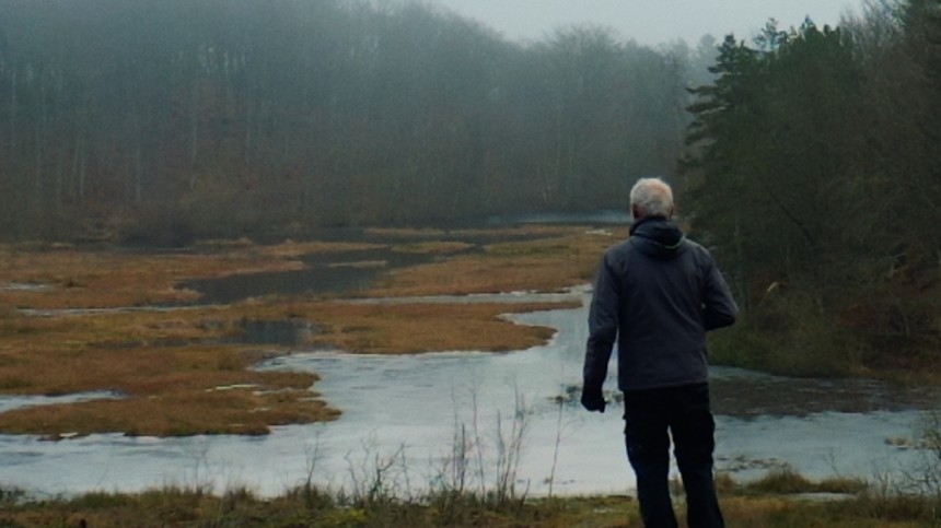 Organiseret vildskab