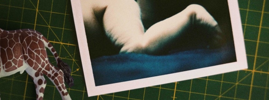 Livet og andre problemer