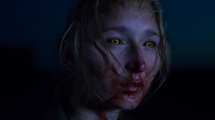 Når dyrene drømmer